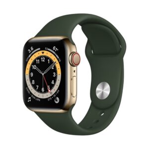 Apple Watch Series 6 Stainless Steel Gold