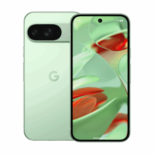 Google Pixel 9 5G 256gb Zaļš